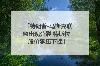 特朗普-马斯克联盟出现分裂 特斯拉股价承压下挫