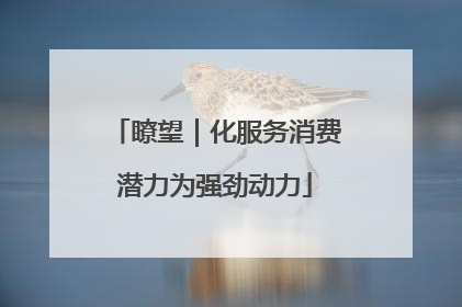 瞭望｜化服务消费潜力为强劲动力