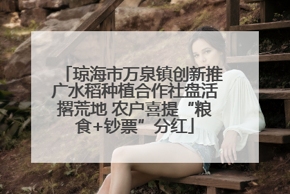 琼海市万泉镇创新推广水稻种植合作社盘活撂荒地 农户喜提“粮食+钞票”分红