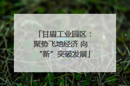 甘眉工业园区：聚势飞地经济 向“新”突破发展
