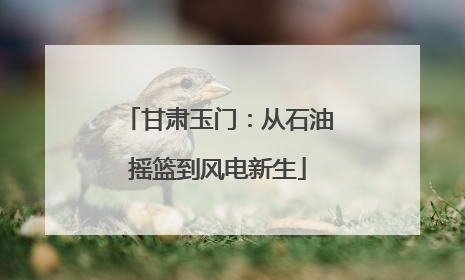 甘肃玉门：从石油摇篮到风电新生