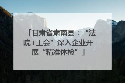 甘肃省肃南县：“法院+工会”深入企业开展“精准体检”