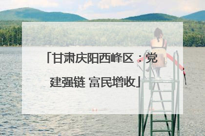 甘肃庆阳西峰区：党建强链 富民增收