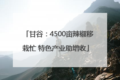 甘谷：4500亩辣椒移栽忙 特色产业助增收