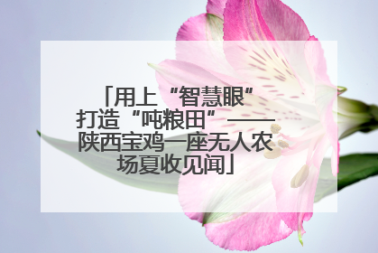 用上“智慧眼” 打造“吨粮田”——陕西宝鸡一座无人农场夏收见闻