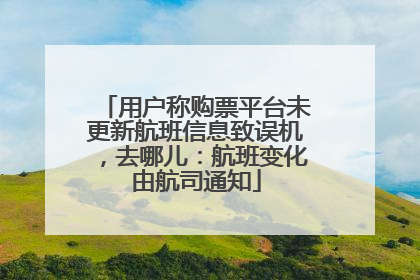 用户称购票平台未更新航班信息致误机，去哪儿：航班变化由航司通知
