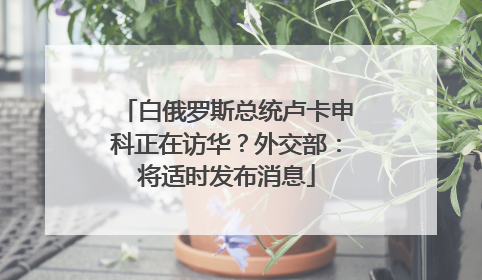 白俄罗斯总统卢卡申科正在访华？外交部：将适时发布消息
