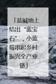 盐碱地上结出“蓝宝石”，小蓝莓串起乡村振兴全产业链