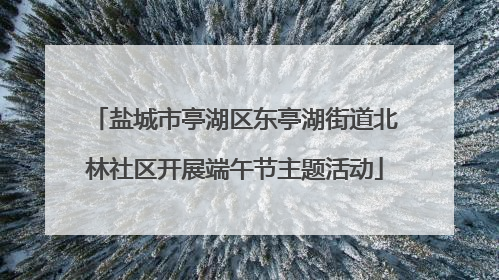盐城市亭湖区东亭湖街道北林社区开展端午节主题活动