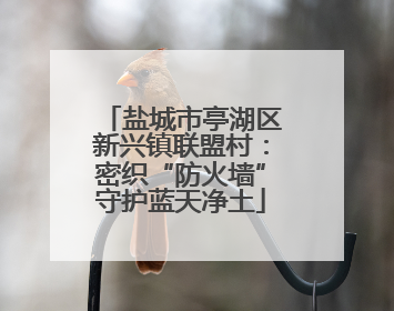 盐城市亭湖区新兴镇联盟村：密织“防火墙”守护蓝天净土