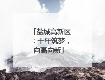盐城高新区：十年筑梦，向高向新
