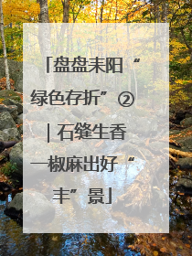 盘盘耒阳“绿色存折”②｜石缝生香 一椒麻出好“丰”景