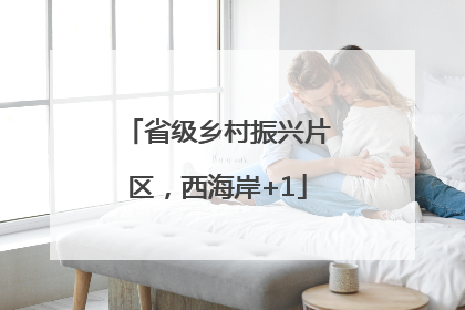 省级乡村振兴片区，西海岸+1