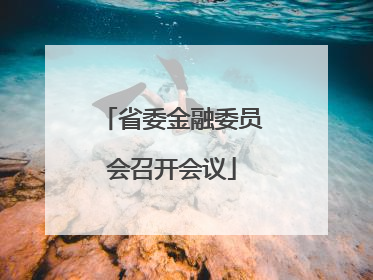 省委金融委员会召开会议
