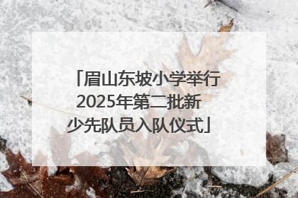 眉山东坡小学举行2025年第二批新少先队员入队仪式