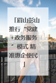 眉山彭山推行“党建+政务服务”模式 精准惠企便民