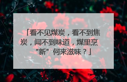 看不见煤炭，看不到焦炭，闻不到味道，煤里烹“新”何来滋味？