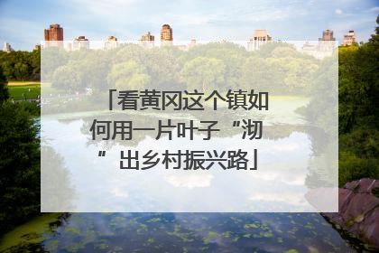 看黄冈这个镇如何用一片叶子“沏”出乡村振兴路