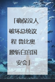 确保没人破坏总统议程 鲁比奥腰斩白宫国安会