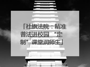 社旗法院：精准普法进校园 “定制”课堂润师生