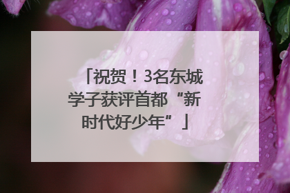 祝贺！3名东城学子获评首都“新时代好少年”