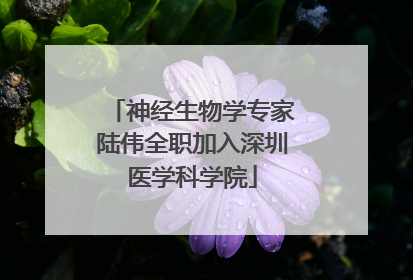 神经生物学专家陆伟全职加入深圳医学科学院