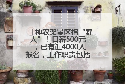 神农架景区招“野人”！日薪500元，已有近4000人报名，工作职责包括“接受游客投喂”