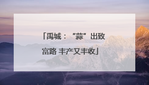 禹城：“蒜”出致富路 丰产又丰收