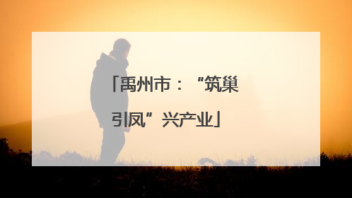禹州市：“筑巢引凤”兴产业