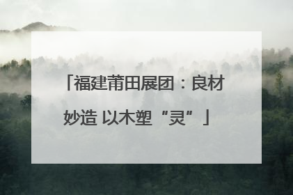福建莆田展团：良材妙造 以木塑“灵”