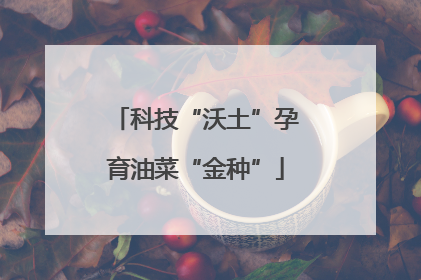 科技“沃土”孕育油菜“金种”