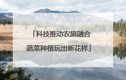 科技推动农旅融合 蔬菜种植玩出新花样