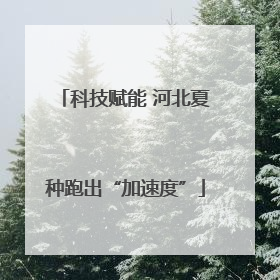 科技赋能 河北夏种跑出“加速度”