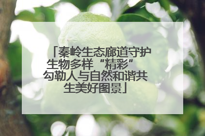 秦岭生态廊道守护生物多样“精彩” 勾勒人与自然和谐共生美好图景