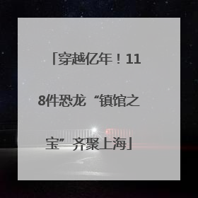 穿越亿年！118件恐龙“镇馆之宝”齐聚上海