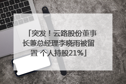 突发！云路股份董事长兼总经理李晓雨被留置 个人持股21%