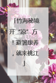 竹海秘境开“凉”方！避暑康养，就来桃江