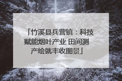 竹溪县兵营镇：科技赋能烟叶产业 田间测产绘就丰收图景