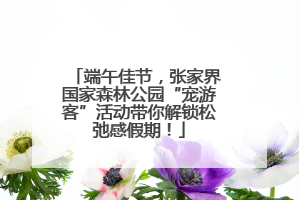 端午佳节，张家界国家森林公园“宠游客”活动带你解锁松弛感假期！