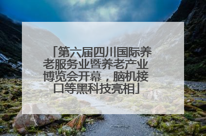 第六届四川国际养老服务业暨养老产业博览会开幕，脑机接口等黑科技亮相