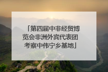 第四届中非经贸博览会非洲外宾代表团考察中伟宁乡基地