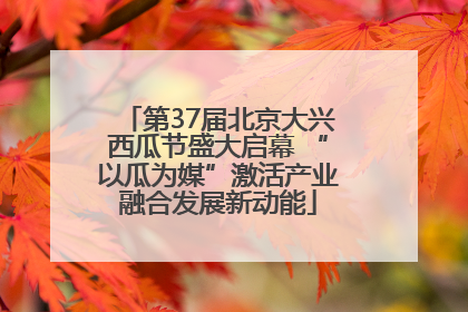 第37届北京大兴西瓜节盛大启幕 “以瓜为媒”激活产业融合发展新动能