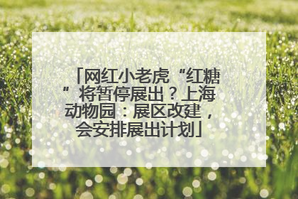 网红小老虎“红糖”将暂停展出？上海动物园：展区改建，会安排展出计划