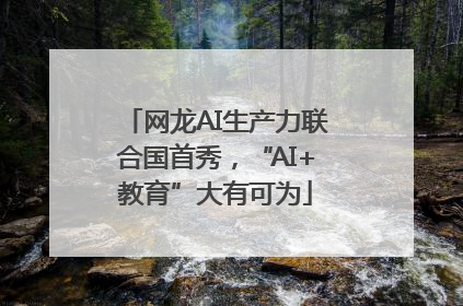 网龙AI生产力联合国首秀，“AI+教育”大有可为