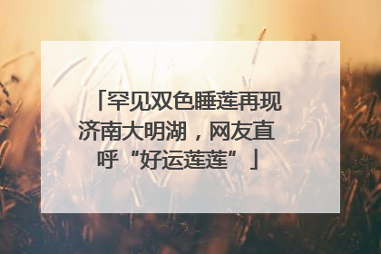 罕见双色睡莲再现济南大明湖，网友直呼“好运莲莲”
