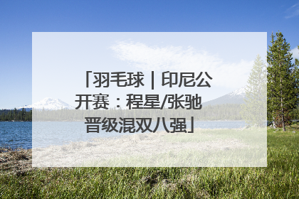 羽毛球｜印尼公开赛：程星/张驰晋级混双八强