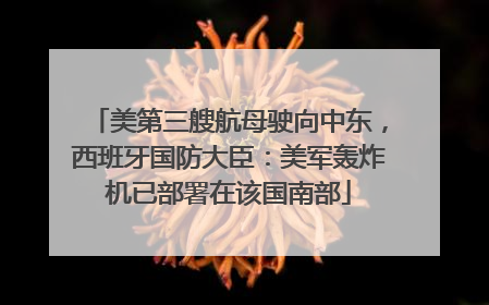 美第三艘航母驶向中东，西班牙国防大臣：美军轰炸机已部署在该国南部