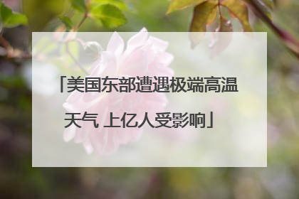 美国东部遭遇极端高温天气 上亿人受影响