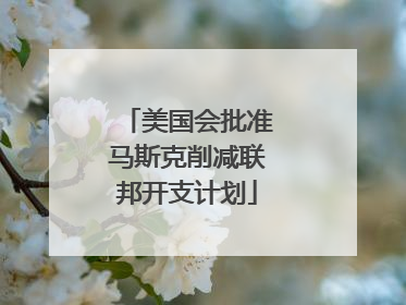 美国会批准马斯克削减联邦开支计划