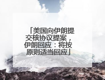 美国向伊朗提交核协议提案，伊朗回应：将按原则适当回应